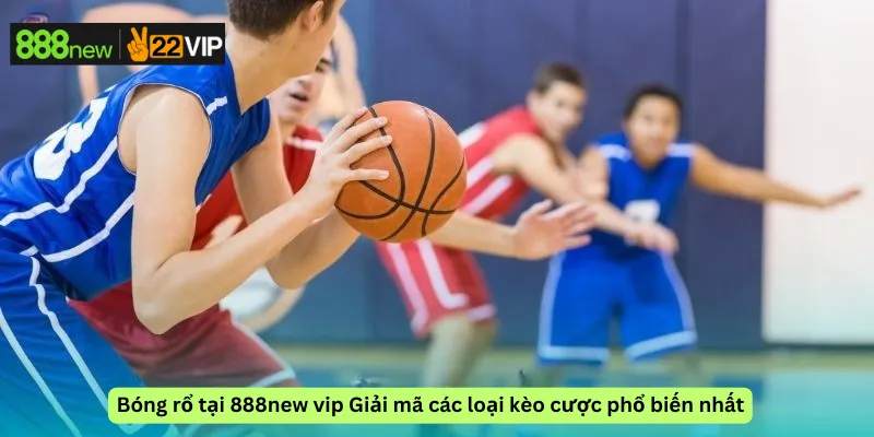 Bóng rổ tại 888new vip Giải mã các loại kèo cược phổ biến nhất